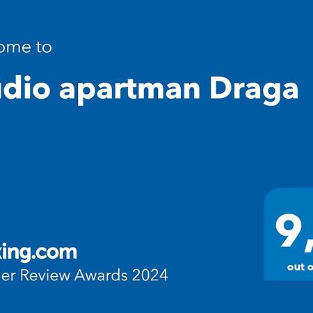 Studio Apartman Draga Velika Ludina エクステリア 写真